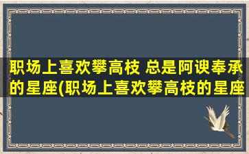 职场上喜欢攀高枝 总是阿谀奉承的星座(职场上喜欢攀高枝的星座排行，TA们总是阿谀奉承)